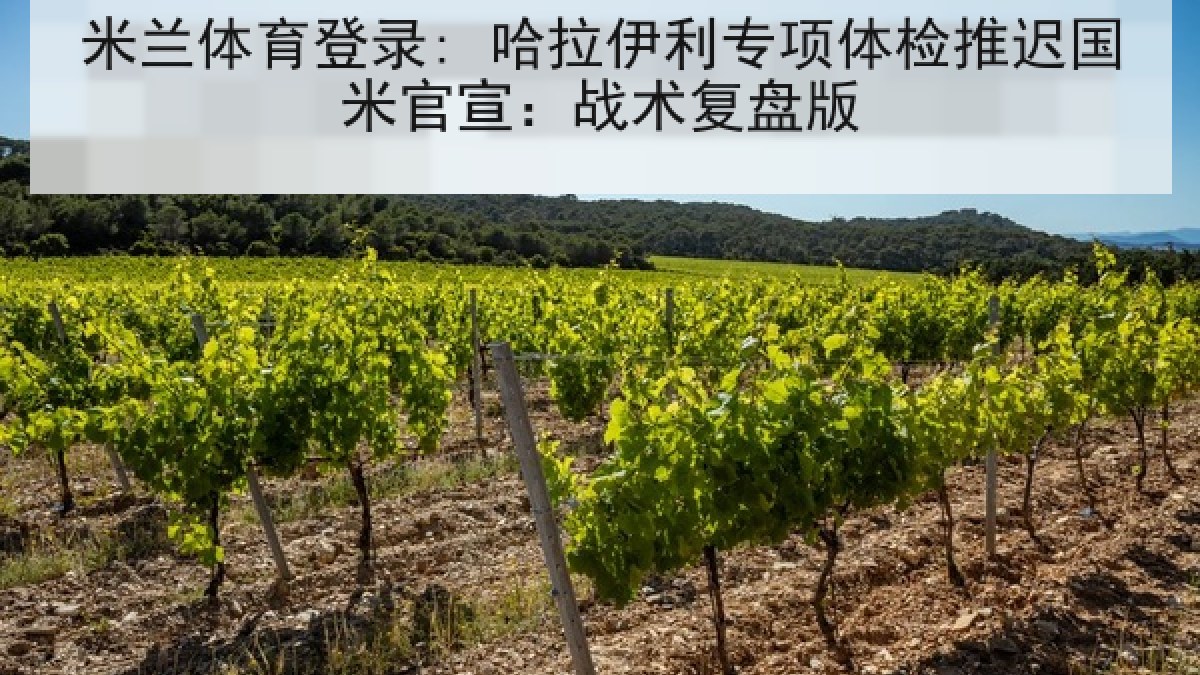 米兰体育登录: 哈拉伊利专项体检推迟国米官宣:战术复盘版 米兰体育登录: 哈拉伊利专项体检推迟国米官宣:战术复盘版