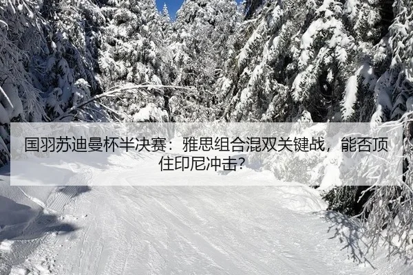 guo-yu-su-di-man-bei-ban-jue-sai-ya-si-zu-he-hun-shuang-guan-jian-zhan-neng-fou-ding-zhu-yin-ni-chong-ji-2-753.jpg