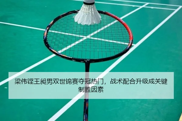 梁伟铿王昶男双世锦赛夺冠热门，战术配合升级成关键制胜因素
