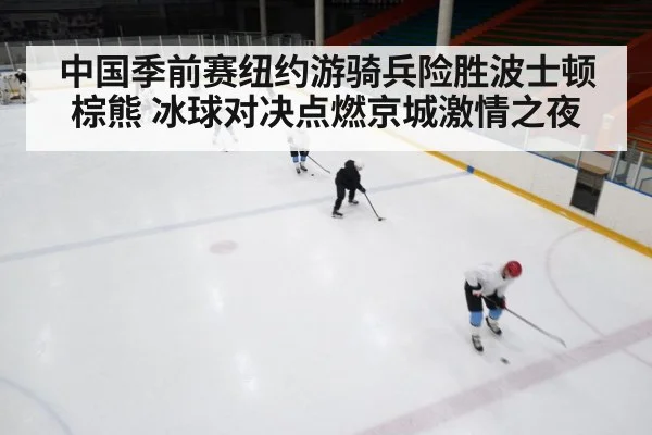 ice hockey rink